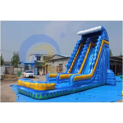 Aufblasbare 18ft Erwachsene tropische Hinterhof Wasserrutsche mit Schwimmbad und Palm
