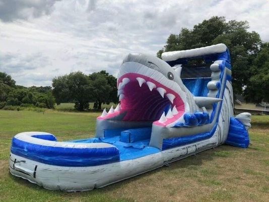 Populäre aufblasbare Wasserparkgeräte Große blaue 3D-Haie-Wasserrutschen mit Schwimmbad