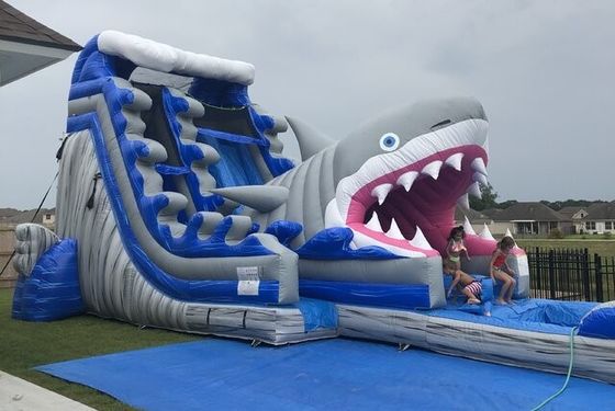 Populäre aufblasbare Wasserparkgeräte Große blaue 3D-Haie-Wasserrutschen mit Schwimmbad