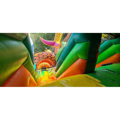 Customized Farbe Safari Park aufblasbare Türsteher für Kinder Spaß im Freien Park