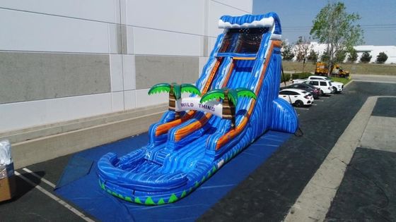 Gelegenheiten kommerzielle aufblasbare Spiele Marmor Palmbaum Bouncer Rutsche für Outdoor-Spiel