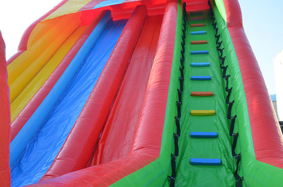 Custom Design Tropen-Themen aufblasbare Wasserrutsche mit Pool für Kinder und Erwachsene