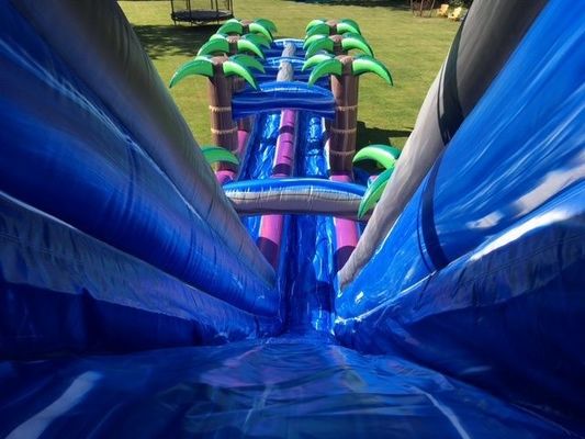 Digitales Drucken Lila Palmenbaum kommerzielle aufblasbare Wasserrutsche für Erwachsene und Kinder