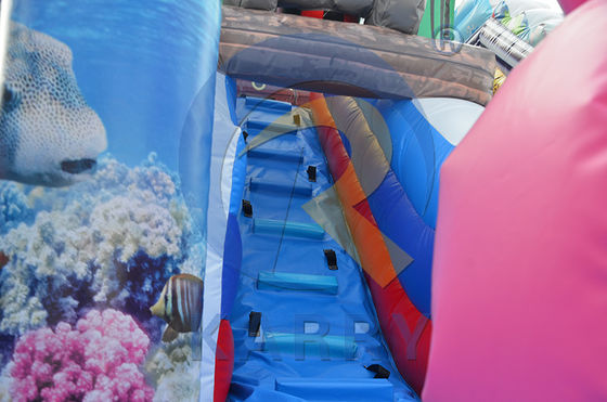 PVC kommerzielle aufblasbare Sprungkasten Rutsche Spaß Stadt Jumper für Kinder und Erwachsene