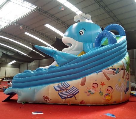 Digitales Drucken Baby Kinder Aufblasbare Dubai Wasserrutsche mit maximaler Kapazität 100-500kg
