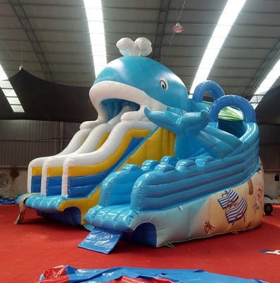 Digitales Drucken Baby Kinder Aufblasbare Dubai Wasserrutsche mit maximaler Kapazität 100-500kg