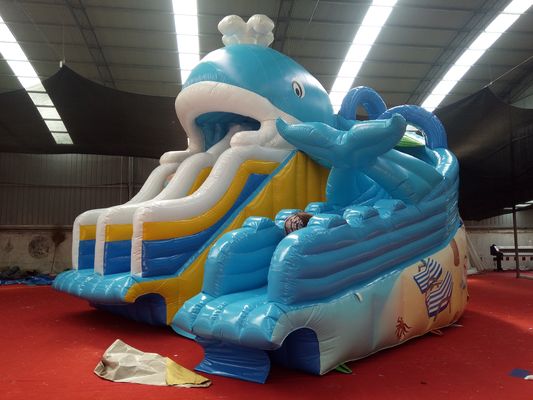 Digitales Drucken Baby Kinder Aufblasbare Dubai Wasserrutsche mit maximaler Kapazität 100-500kg