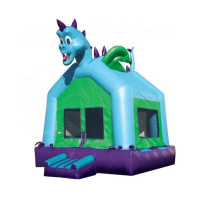 Besondere Farben PVC aufblasbare Sprungburg mit Wasserrutschen Reparatur-Kits enthalten