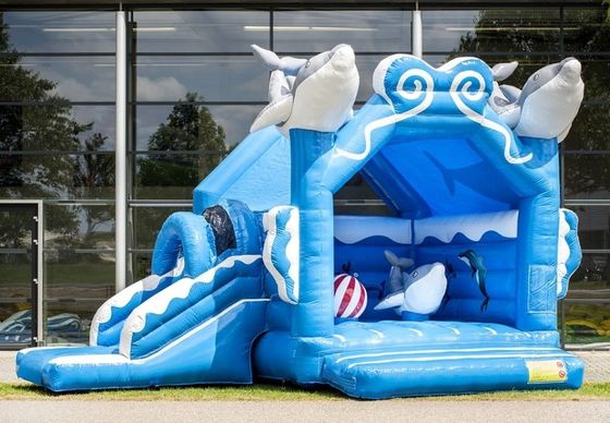 Schloss seit 14 Jahren auf Populärer Outdoor Rainbow Unicorn Sprungschloss mit Slide Combo