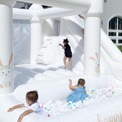 Hand gezeichnet Hochzeit Sprungschloss Jumper mit Rutsche und Ball Pit Express Air Shipping
