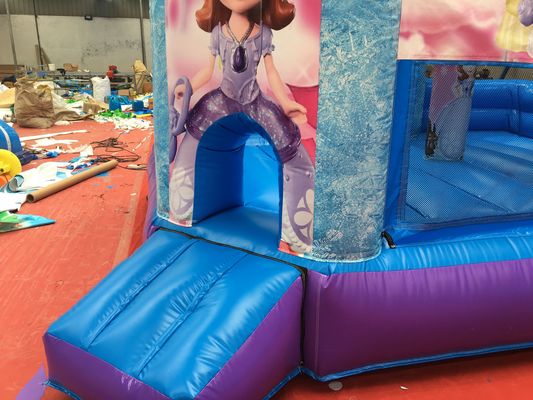 Hot Princess Party Sprungburg mit Schiebereglern PVC Spielplatz Ausrüstung
