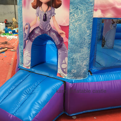 Hot Princess Party Sprungburg mit Schiebereglern PVC Spielplatz Ausrüstung