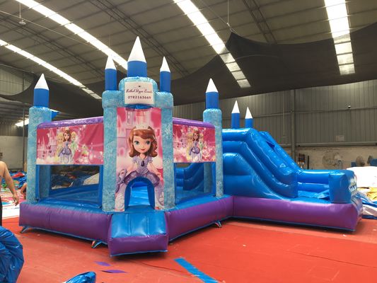 Hot Princess Party Sprungburg mit Schiebereglern PVC Spielplatz Ausrüstung