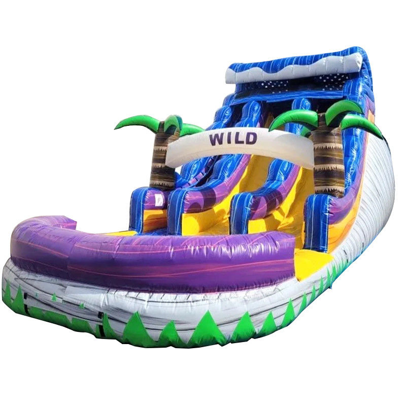 Großer Pool Kinder Sprungrutsche Hausparty kommerzielle tropische Palmen Wasserrutsche mit zwei Rutschen