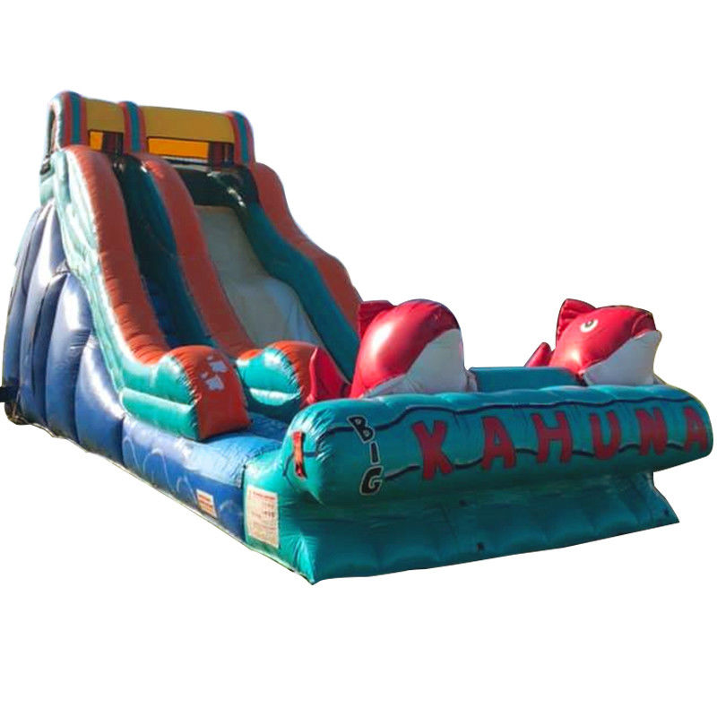 0.55mm PVC Tarpaulin Rotkarpfen Themen aufblasbare Wasserrutsche mit breiter Rutsche und Rutsche