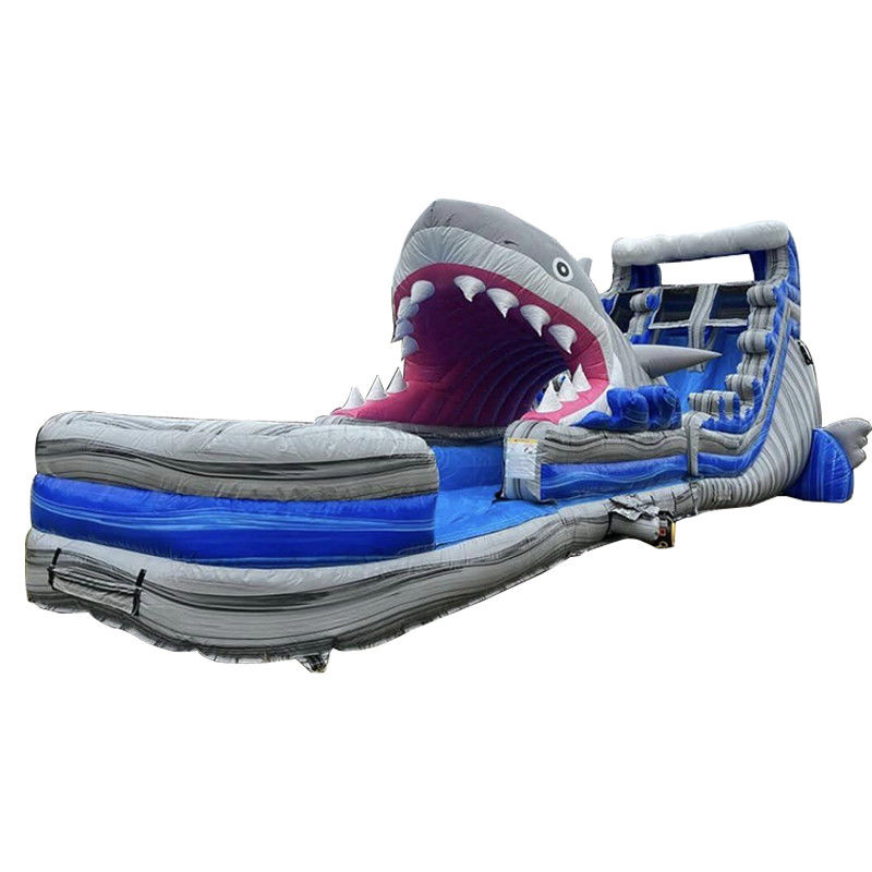Individuelle Größe aufblasbare Wasserrutsche mit Big Shark Rutsche n Rutsche und Schwimmbad