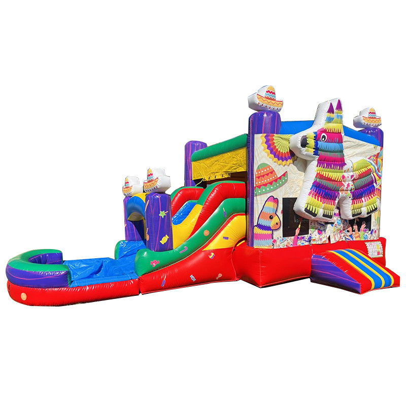 PORTABLE PVC Regenbogen-Welpen aufblasbares Sprunghaus mit Schiebereglern