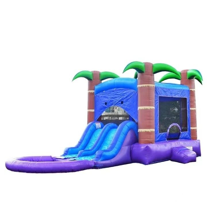 PVC aufblasbare Wasserrutsche mit Basketballhoop für Kinder und Erwachsene