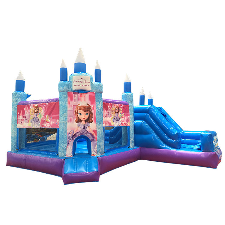 Hot Princess Party Sprungburg mit Schiebereglern PVC Spielplatz Ausrüstung